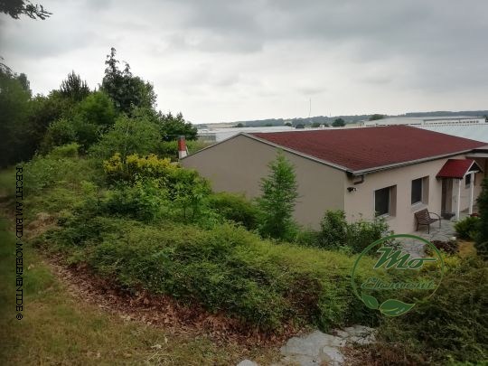 2021 - Aus einem Wilden Garten, eine ansehnliche Landschaft geschaffen.